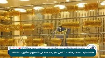 5000 جنيه.. أسعار الذهب تتخطى حاجز العلامة في قنا اليوم الاثنين 22-9-2025